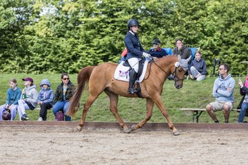Bild 392 - Pony Akademie Turnier